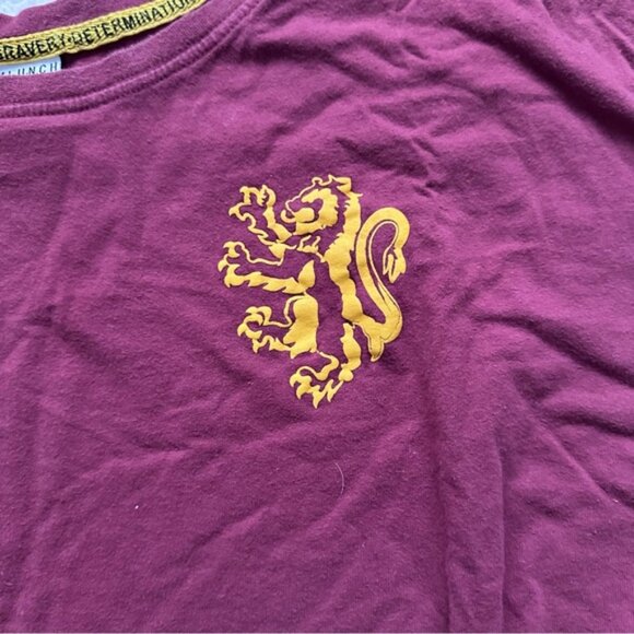 Harry Potter | Gryffindor Hype Jersey - BoxLunch Exclusive | Size Large - Picture 4 of 8